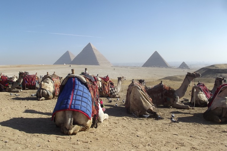 pyramids-camels